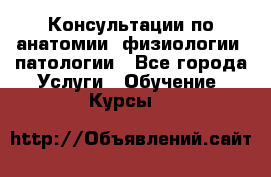 Консультации по анатомии, физиологии, патологии - Все города Услуги » Обучение. Курсы   